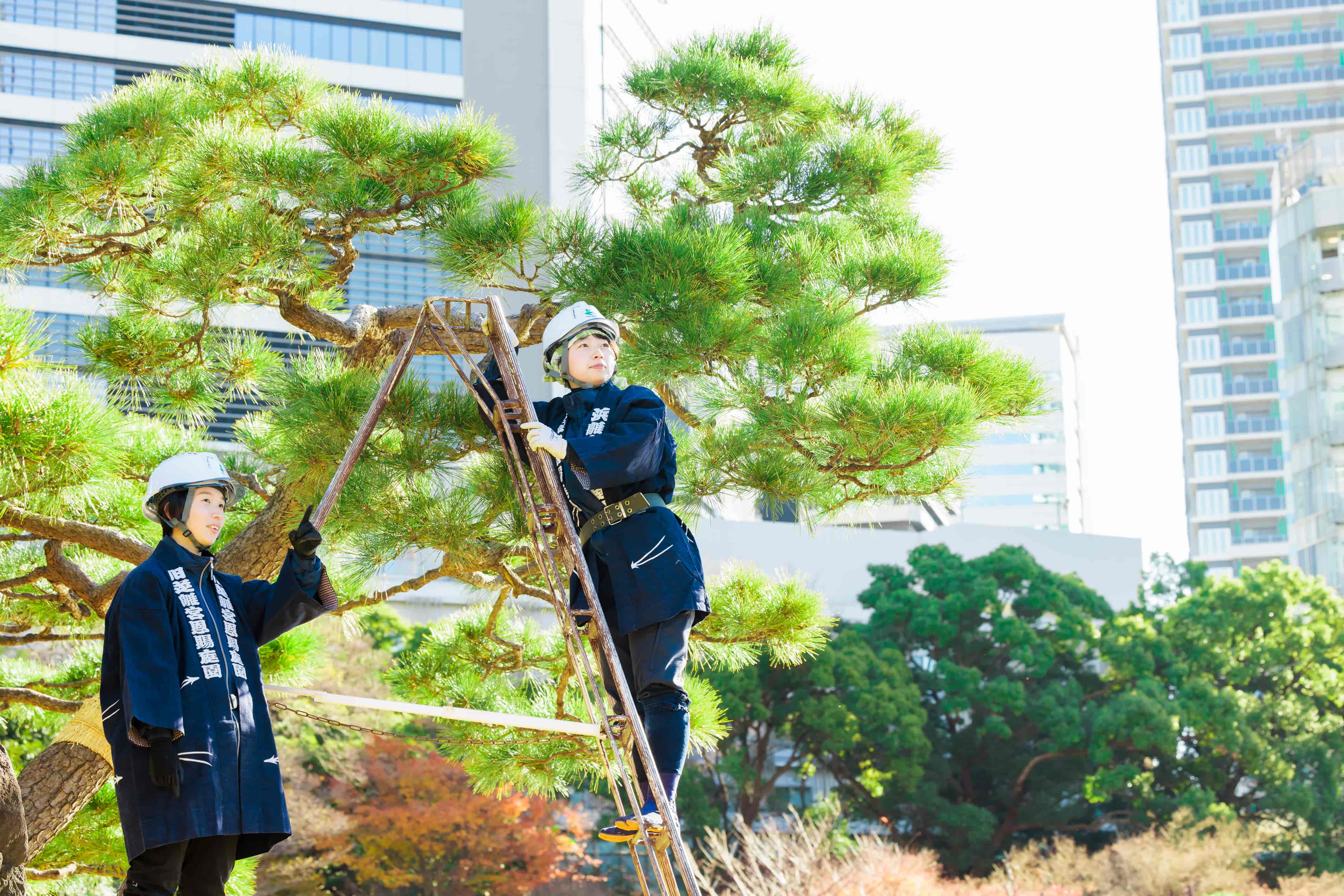 公益財団法人東京都公園協会の契約社員 職人・現場スタッフ 公園・施設管理 都市緑化・ランドスケープ 公園・公共施設の求人情報イメージ1