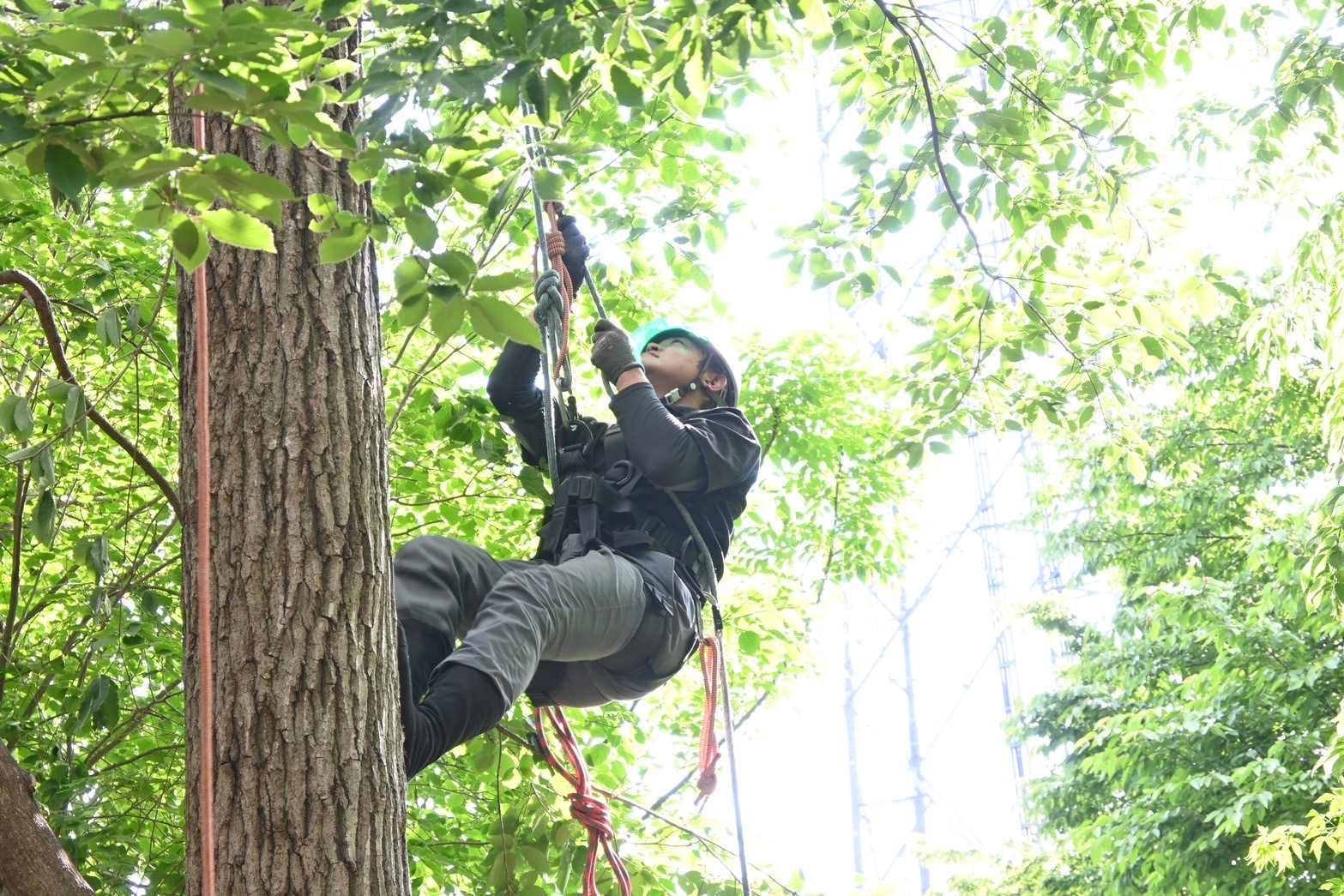 吉村造園株式会社のアルバイト・パート 職人・現場スタッフ 都市緑化・ランドスケープ 公園・公共施設の求人情報イメージ1