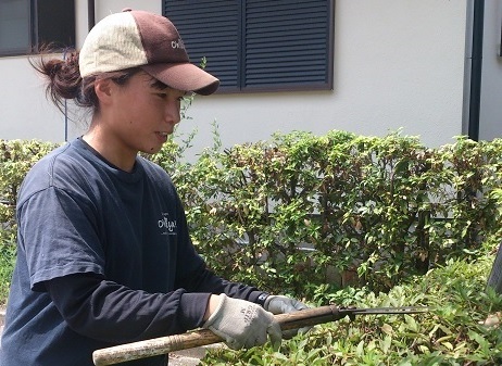 株式会社oh庭ya 大阪支店の正社員 職人・現場スタッフ お庭・植木求人イメージ