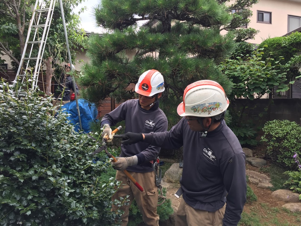 株式会社oh庭ya 千葉支店の正社員 職人・現場スタッフ お庭・植木求人イメージ