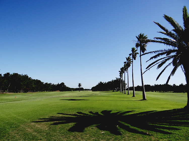 トーシンリゾート株式会社 伊良湖シーサイドゴルフ倶楽部の契約社員 公園・施設管理 営業・企画 販売・接客 その他 ゴルフ場の求人情報イメージ1