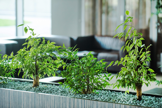 株式会社石勝エクステリア 横浜業務センターの契約社員 その他 屋内緑化求人イメージ