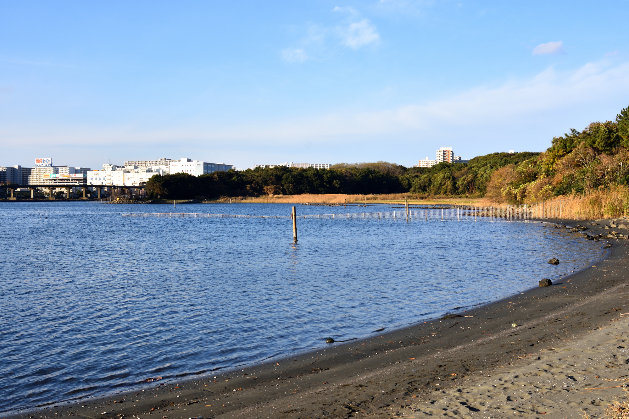 西武造園株式会社 都立大井ふ頭中央海浜公園なぎさの森の契約社員 公園・施設管理 事務 公園・公共施設の求人情報イメージ1