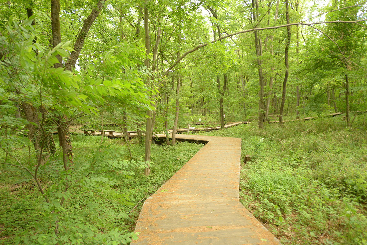 西武造園株式会社 小宮公園の契約社員 公園・施設管理 公園・公共施設の求人情報イメージ1