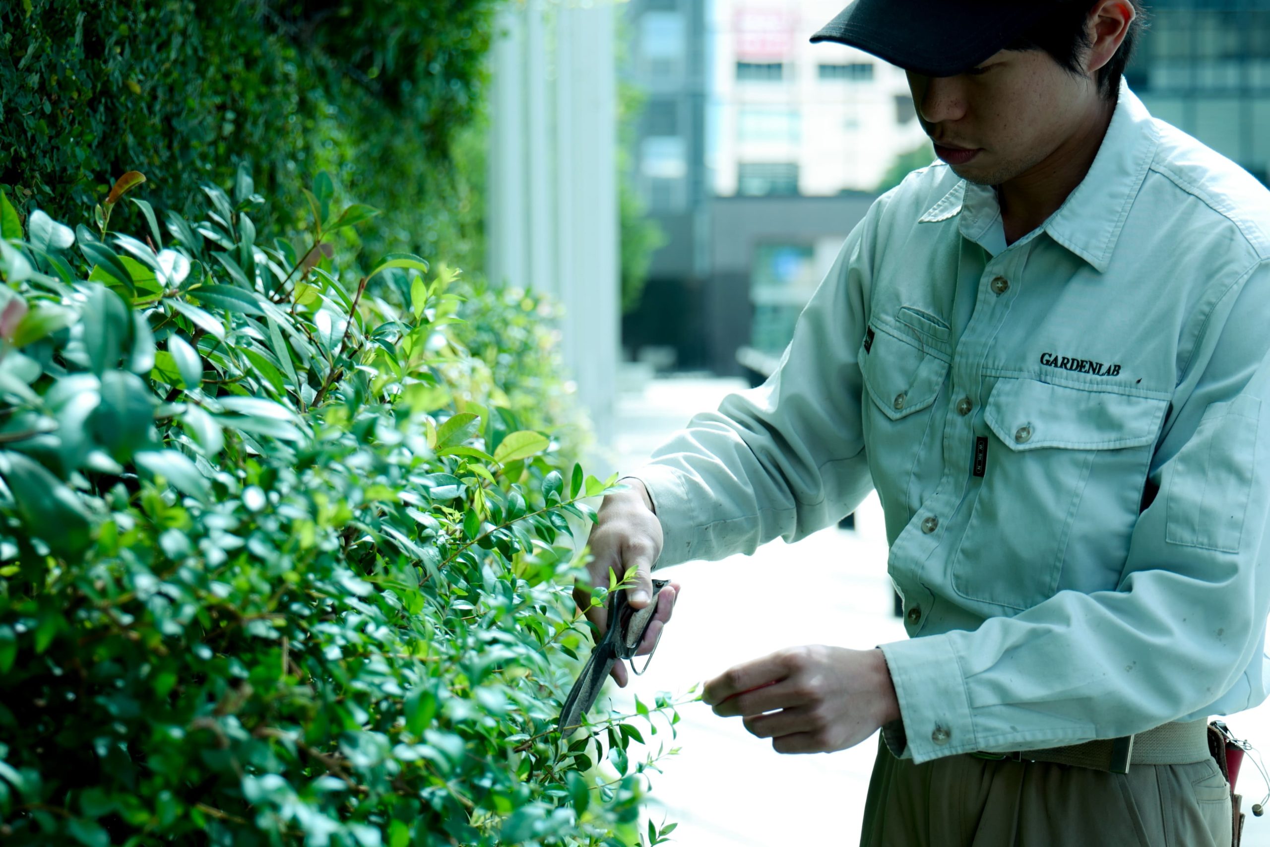 株式会社ガーデンラボの契約社員 職人・現場スタッフ 公園・施設管理 都市緑化・ランドスケープ お庭・植木 公園・公共施設の求人情報イメージ1