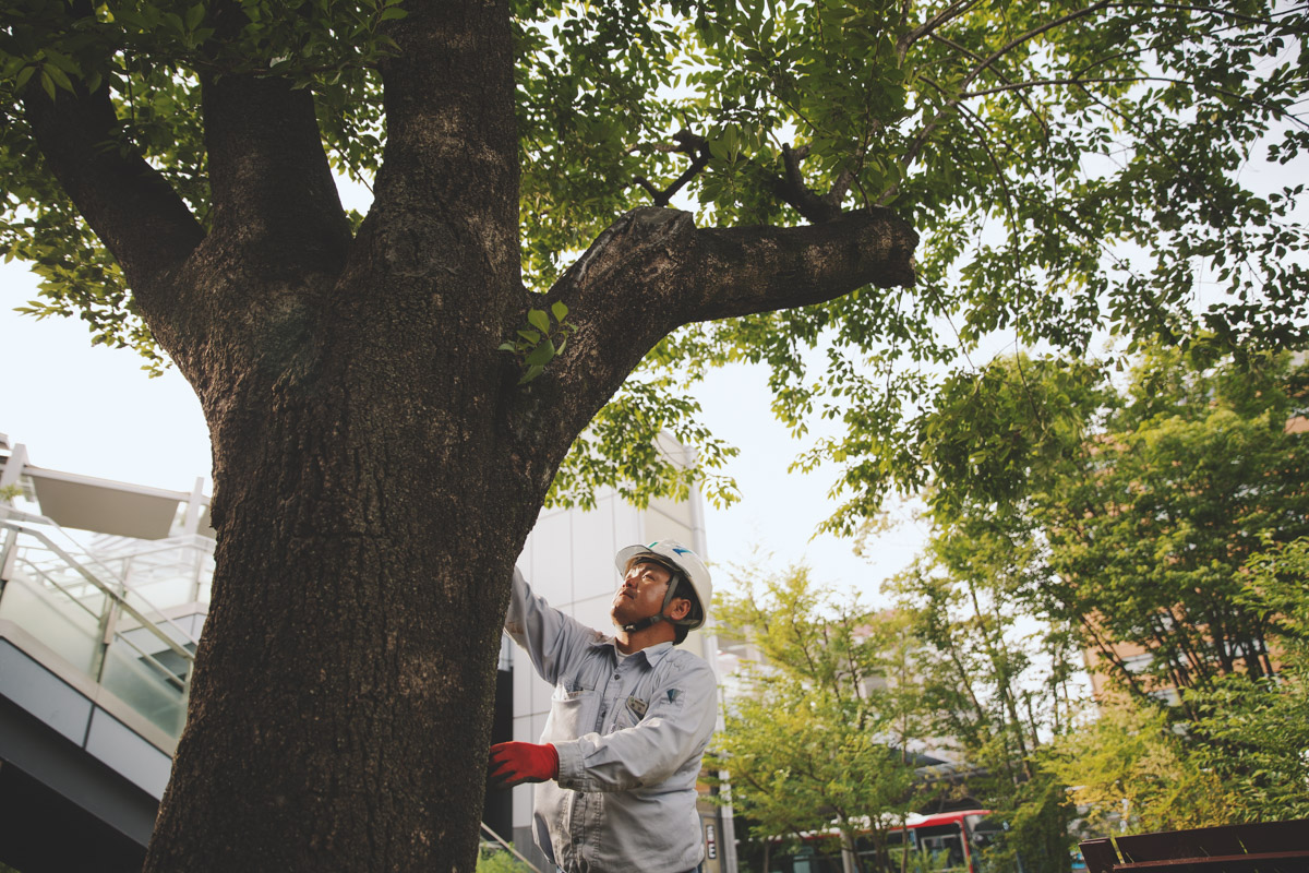 株式会社岐阜造園 本社の正社員 現場管理（維持管理） 都市緑化・ランドスケープ お庭・植木 公園・公共施設の求人情報イメージ1