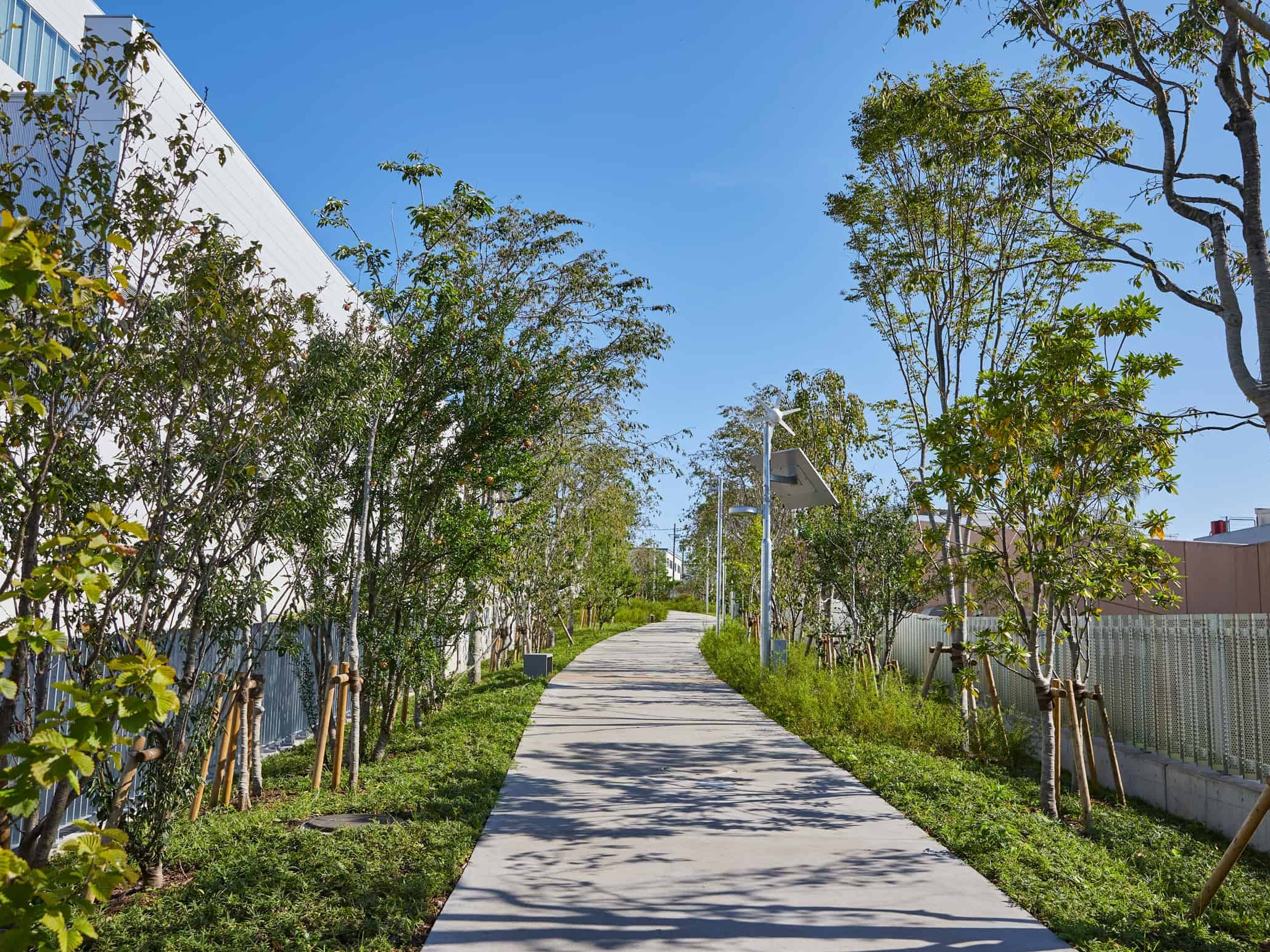 西武緑化管理株式会社 本社の契約社員 現場管理（維持管理） 都市緑化・ランドスケープ 屋上・壁面緑化 公園・公共施設の求人情報イメージ3