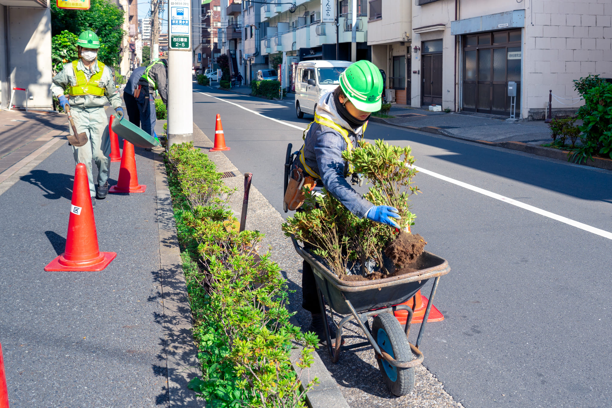 株式会社INGの正社員 職人・現場スタッフ 公園・施設管理 都市緑化・ランドスケープ お庭・植木 公園・公共施設の求人情報イメージ4
