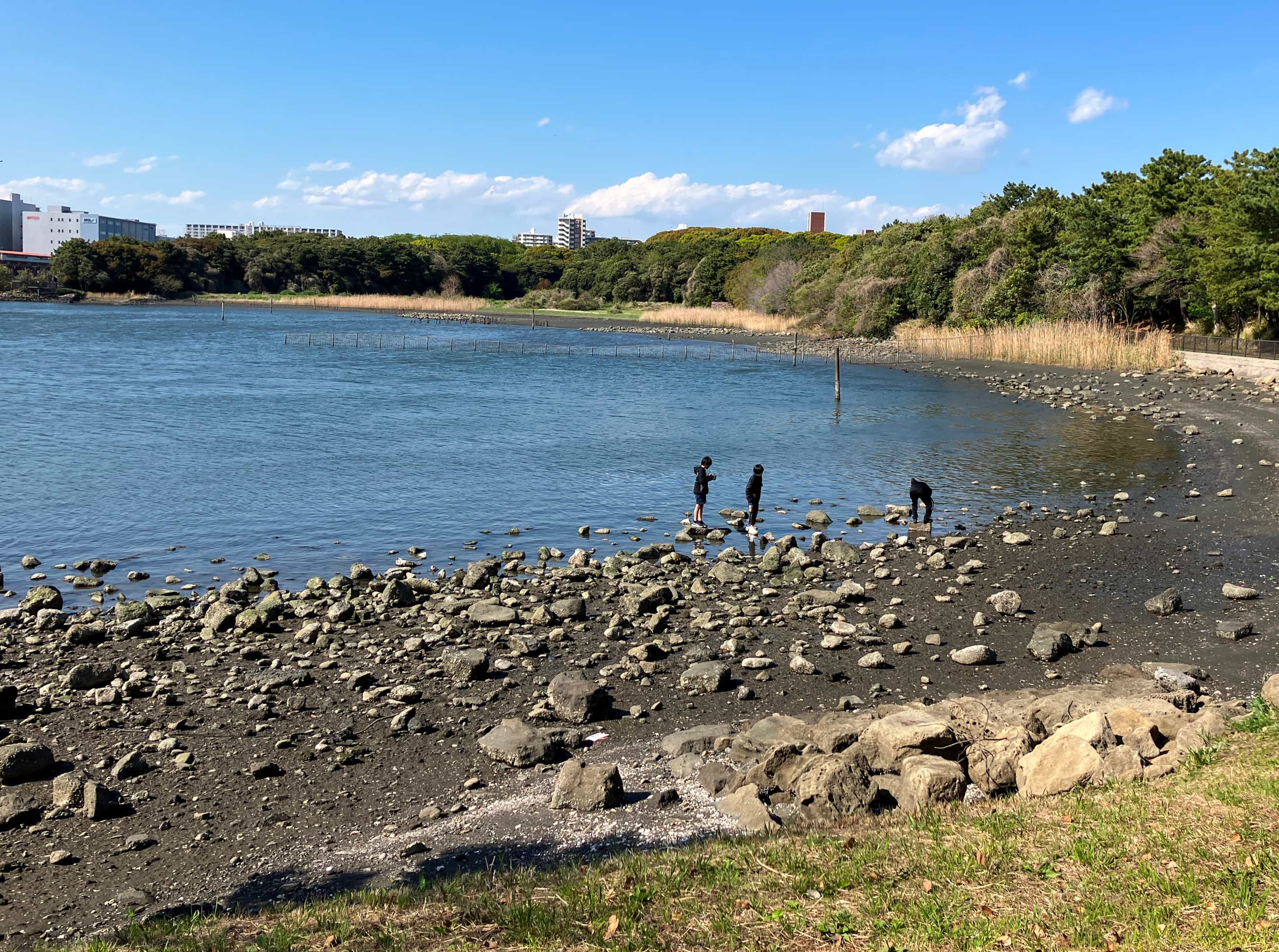 西武造園株式会社 都立大井ふ頭中央海浜公園なぎさの森の契約社員 公園・施設管理 公園・公共施設の求人情報イメージ3