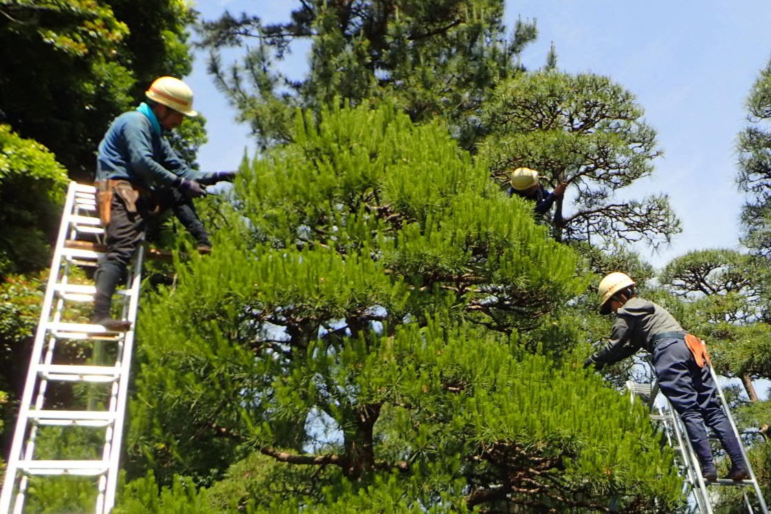 興國緑化株式会社の正社員 職人・現場スタッフ 都市緑化・ランドスケープ 公園・公共施設の求人情報イメージ1