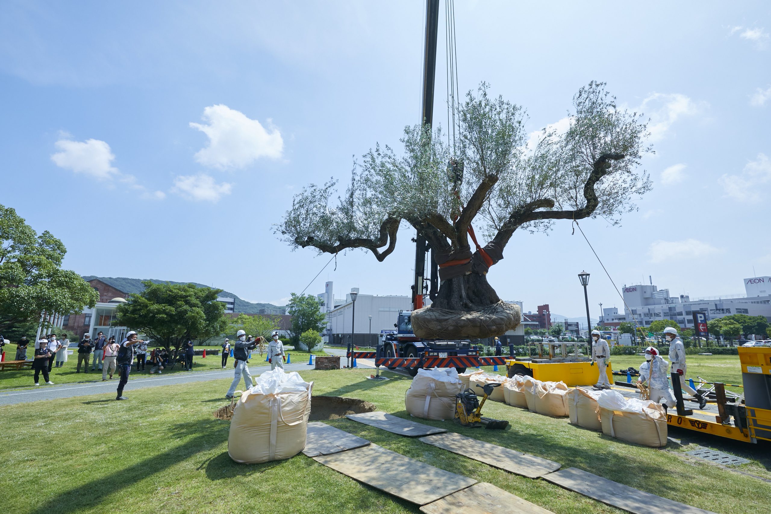 そら植物園株式会社 大阪事務所の正社員 施工管理（工事） 職人・現場スタッフ 都市緑化・ランドスケープ お庭・植木の求人情報イメージ3