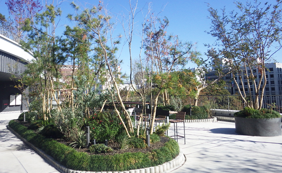 西武造園株式会社 サクラマチクマモトの契約社員 現場管理（維持管理） 都市緑化・ランドスケープ 公園・公共施設の求人情報イメージ1