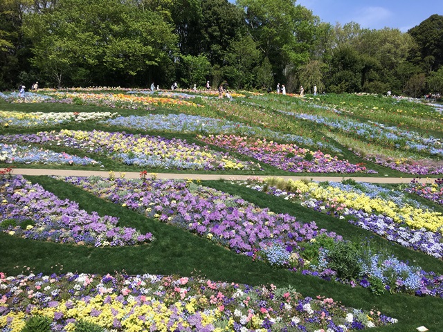 横浜緑地株式会社の契約社員 施工管理（工事） 都市緑化・ランドスケープ 外構・エクステリア 公園・公共施設の求人情報イメージ1