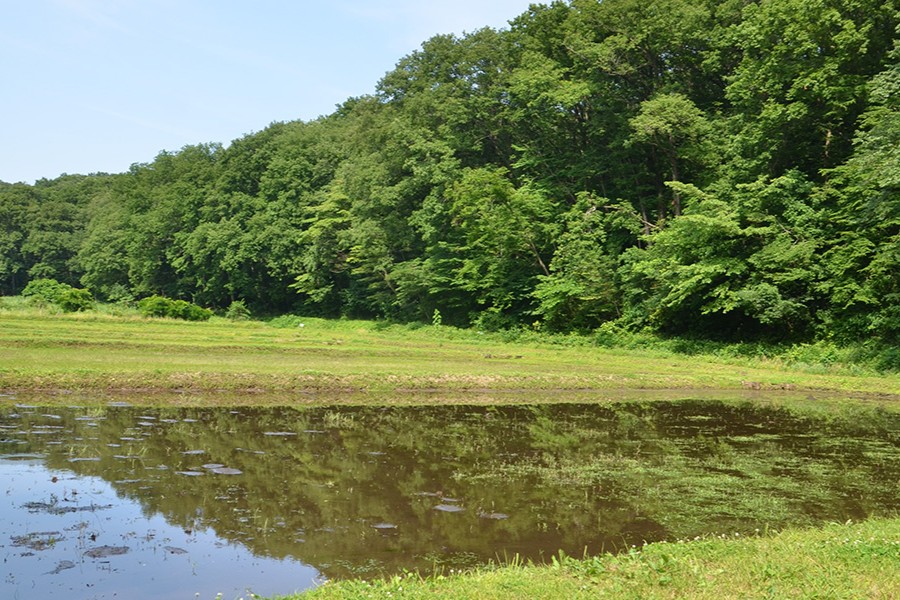 西武造園株式会社 野山北・六道山公園の契約社員 公園・施設管理 公園・公共施設の求人情報イメージ1