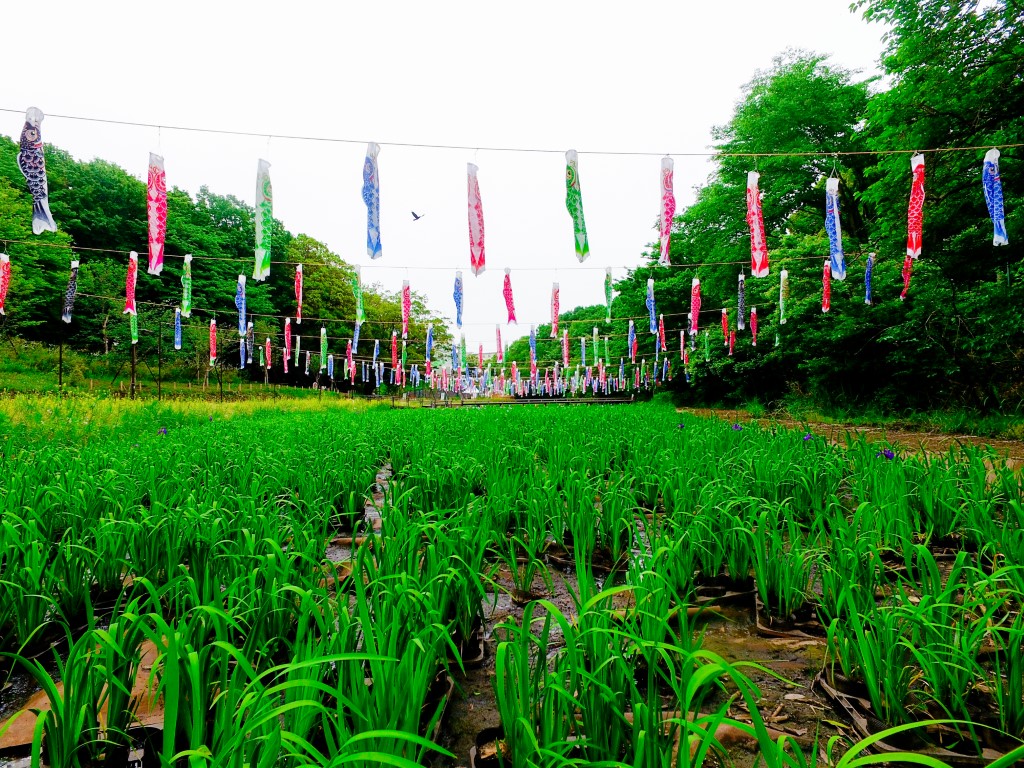 株式会社田澤園の正社員 施工管理（工事） 現場管理（維持管理） 都市緑化・ランドスケープ 公園・公共施設求人イメージ