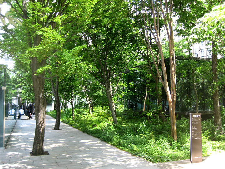 内山緑地建設株式会社 関東支店の契約社員 施工管理（工事） 現場管理（維持管理） 都市緑化・ランドスケープ 公園・公共施設求人イメージ