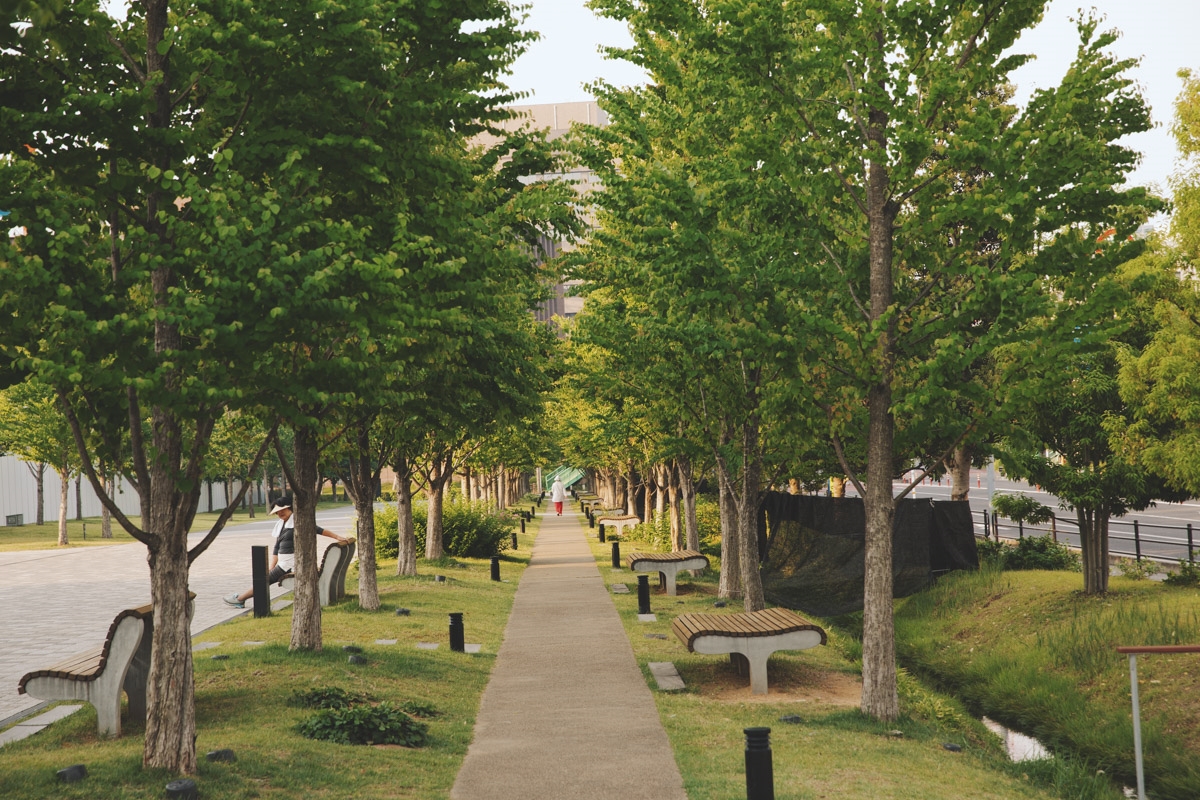 株式会社岐阜造園 本社の正社員 施工管理（工事） 都市緑化・ランドスケープ 公園・公共施設の求人情報イメージ1