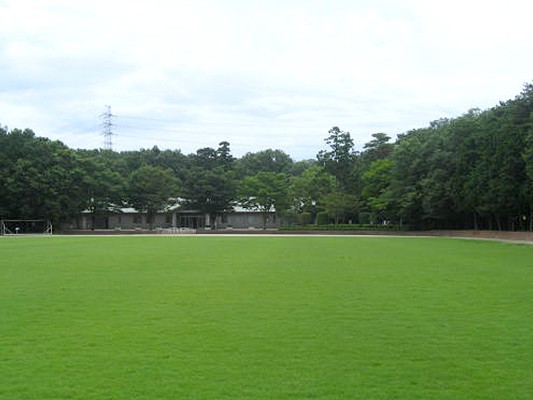 西武緑化管理株式会社 本社の契約社員 現場管理（維持管理） 都市緑化・ランドスケープ 屋上・壁面緑化 公園・公共施設の求人情報イメージ2