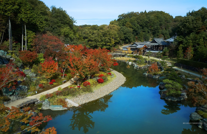 株式会社中根庭園研究所の正社員 職人・現場スタッフ 公園・施設管理 お庭・植木 公園・公共施設の求人情報イメージ3