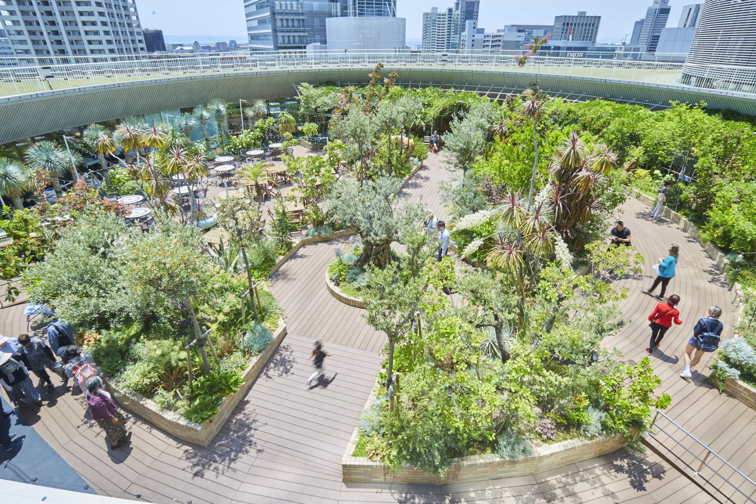 そら植物園株式会社 大阪事務所の正社員 職人・現場スタッフ 公園・施設管理 都市緑化・ランドスケープ お庭・植木の求人情報イメージ2