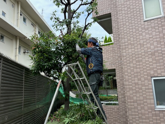 株式会社グリーンクラフトの正社員 職人・現場スタッフ お庭・植木 公園・公共施設の求人情報イメージ1